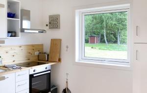 Pet Friendly Home In Ormaryd的厨房或小厨房
