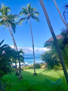度假屋周边自然景观
