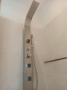 une douche dans une salle de bain avec une pomme de douche dans l'établissement Punta colorada, casa con jacuzzi dos baños, à Punta Colorada 18 autres photos