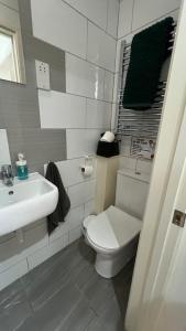 a bathroom with a white toilet and a sink at Hawtհorn Guestհouse in Cambridge
