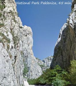 Příroda nedaleko vily