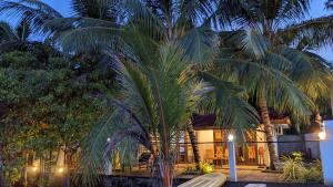 Fotografie z fotogalerie ubytování kingfish villa and restaurant v destinaci Ranna