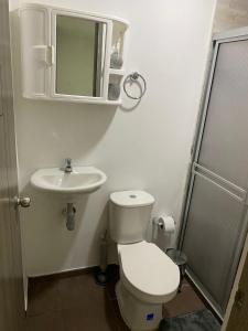 a bathroom with a toilet and a sink and a mirror at Apartamento en Las Mercedes tipo Loft in Palmira