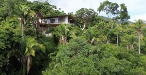 a house in the middle of the forest at Sky Temple Yelapa in Yelapa
