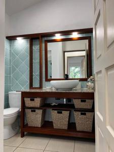 ein Badezimmer mit Waschbecken, Toilette und Spiegel in der Unterkunft corail vert in La Saline Les hauts 