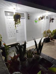A garden outside Jess House by Slamet