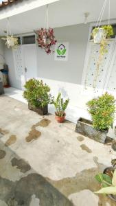 A garden outside Jess House by Slamet Még 4 kép