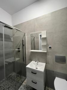 ein Badezimmer mit Waschbecken und Dusche in der Unterkunft Jesion in Inowrocław + 26 Fotos