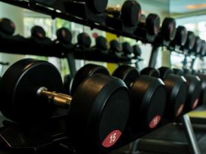 Fitness centrum a/nebo fitness zařízení v ubytování Greenleaf Hotel Gensan
