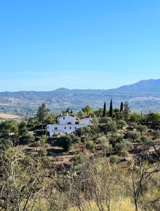 皮萨拉Santa Teresa Bed & Breakfast Andalusien的田野中间的白色房子