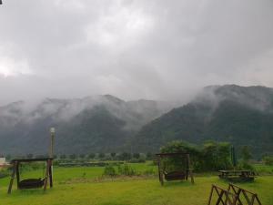 a group of benches in a field with mountains in the background at darae pension in Hwach'ŏn