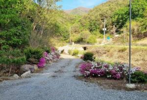 a gravel road with purple flowers and a bridge at Yanggu Byeolha Pension in Yanggu