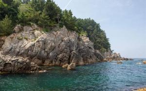 a rocky island in the water with trees on it at Samcheok Donghae Raeyo Pension in Samcheok