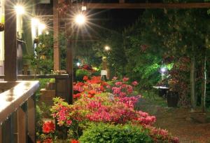 ヤンヤンにあるCiel Pensionの夜の花灯庭園