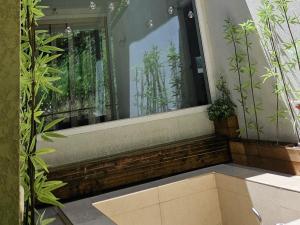 a window with plants on the side of a building at Hongcheon Habori Private Pension in Hongcheon