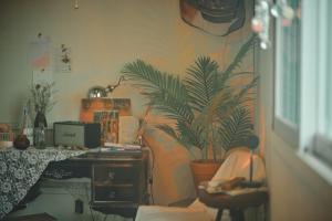 a room with a desk and a potted plant at Jeju Hadoya Beer N Bed in Jeju