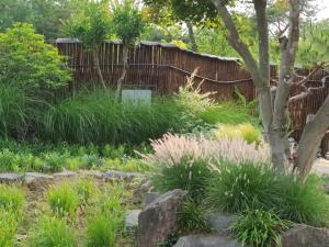 a garden with tall grass and a fence at Naju Gotaeg Flowers are blooming on the mountain in Naju +14 photos