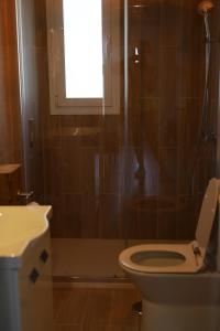 a bathroom with a toilet and a shower with a window at Ramboia Guest House in São Pedro do Sul +23 photos