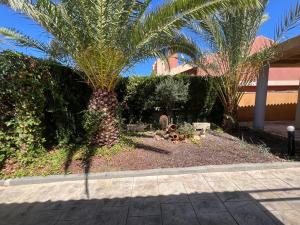 A garden outside CHALET CON PISCINA A 100m DE LA PLAYA LA MANGA