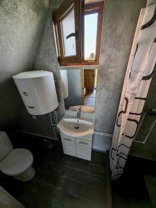 a bathroom with a sink and a toilet and a window at La Fermă in Şeíca Mare
