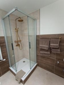 Koupelna v ubytování Minicamping und B&B Apartment Hintergarten