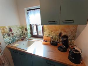 Kuchyň nebo kuchyňský kout v ubytování Minicamping und B&B Apartment Hintergarten