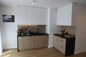 Kuchyň nebo kuchyňský kout v ubytování 2 pok Apartament Bryza 150m od jeziora + 21 fotografií