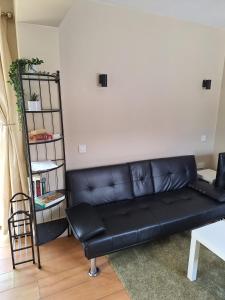 Posezení v ubytování Independent Studio Apartment + 15 fotografií