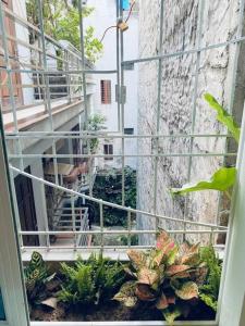 a view from a window of a balcony with plants at Homestay May's house Lo Duc in Hanoi