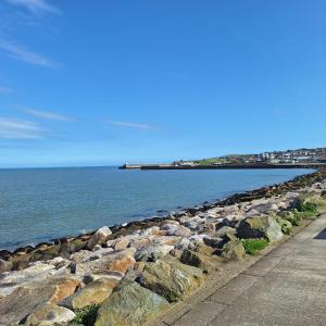 a row of rocks next to a body of water at Independent Studio Apartment in Wicklow