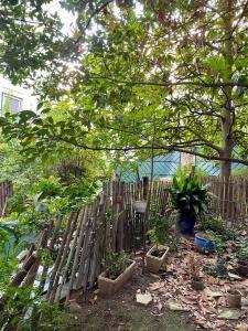 a wooden fence with some plants in a garden at Chambre et salle d'eau proches du Sacré-Coeur in Paris