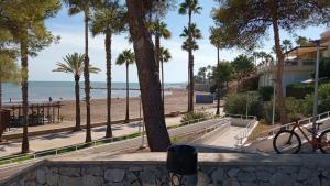 a bike parked next to a beach with palm trees at Charming apartment in La Ràpita, 30 m² with balcony in Sant Carles de la Ràpita