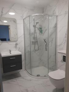a bathroom with a shower and a toilet and a sink at Kayden House -1 in Killarney