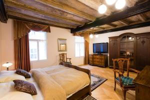 TV a/nebo společenská místnost v ubytování Apartments U Krále Brabantského