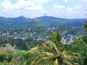 Pemandangan gunung umum atau pemandangan gunung yang diambil dari homestay