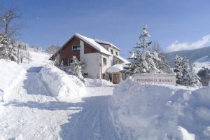 テルガートにあるPenzion u Hankyの雪に覆われた家