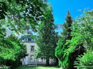 una grande casa bianca con alberi di fronte di La maison de Maître - Grand Jardin, Face à la Meuse a Hermalle-sous-Argenteau