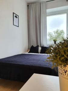 ein Schlafzimmer mit einem Bett mit blauer Bettdecke und einem Fenster in der Unterkunft Mieszkanie w centrum Gdyni SW 135L in Wzgórze Nowotki