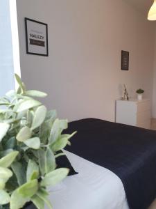 ein Schlafzimmer mit einem Bett mit einer schwarzen Decke und einer Pflanze in der Unterkunft Mieszkanie w centrum Gdyni SW 135L in Wzgórze Nowotki + 3 Fotos