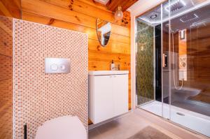 a bathroom with a shower and a toilet and a sink at The Disco Duck A - city centre Zwolle in Zwolle +25 photos