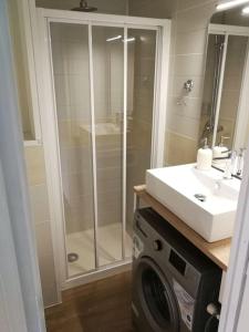 a bathroom with a shower and a washing machine at Joli studio au centre ville in Aix-les-Bains