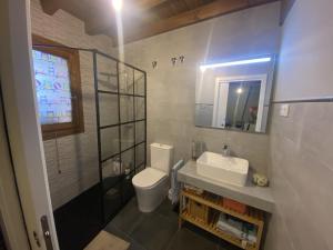 ein Badezimmer mit Toilette, Waschbecken und Spiegel in der Unterkunft Casa Misi in Candeleda