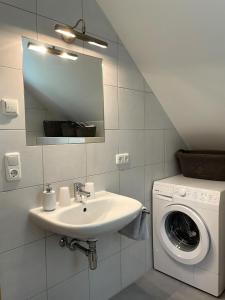 un bagno con lavandino e lavatrice di Almhütte-Flattnitz a Flattnitz