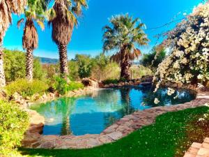 a pool with palm trees in a garden at Simunye Cottage in Simondium