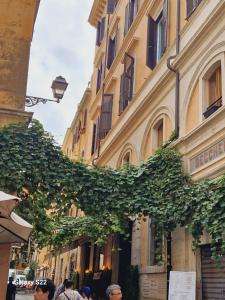 a building with a bunch of ivy growing on it at Appartamento Tor Millina 4 Piazza Navona in Rome