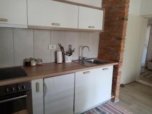 Kuchyň nebo kuchyňský kout v ubytování Apartman Otvoreno polje