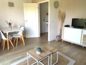 Una televisión o centro de entretenimiento en Cosy Appartement SANNA 3 étoiles piscine, 2 ch
