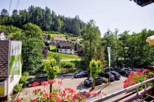 Příroda nedaleko hotelu
