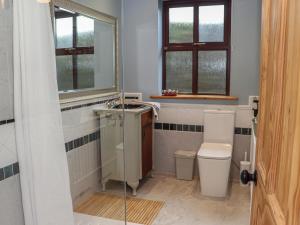 a bathroom with a toilet and a sink and windows at Pink Granite Garden of Ireland in Killicreny Bridge