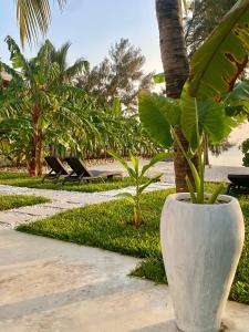 Κήπος έξω από το Luxury LIONS VILLAS ZANZIBAR - with Private Cook&Infinity Pools